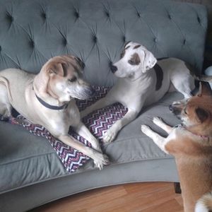 Meet your Posher, Sandra